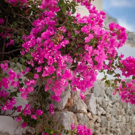 Villa Nina, Dreamy Little Cycladic In Amorgos *