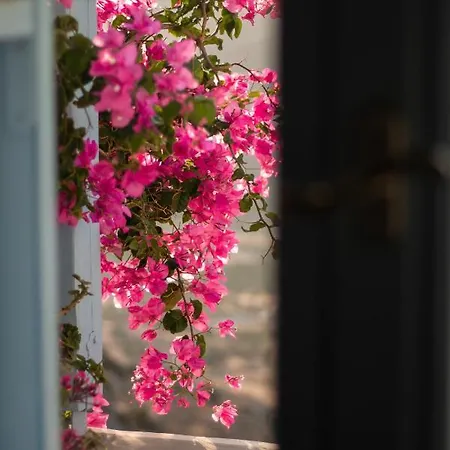 ヴィラ Nina, Dreamy Little Cycladic In Amorgos Órmos Aiyialís