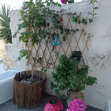 Nina, Dreamy Little Cycladic In Amorgos Βίλα *