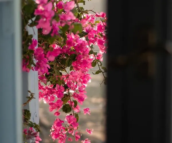 Villa Nina, Dreamy Little Cycladic In Amorgos Ormósz Ejálisz
