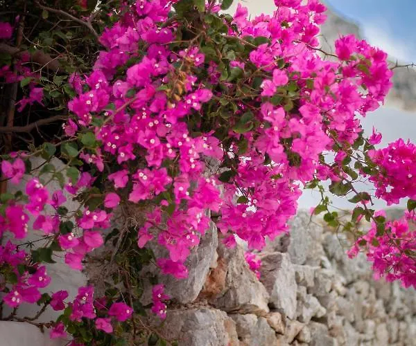 Villa Nina, Dreamy Little Cycladic In Amorgos *
